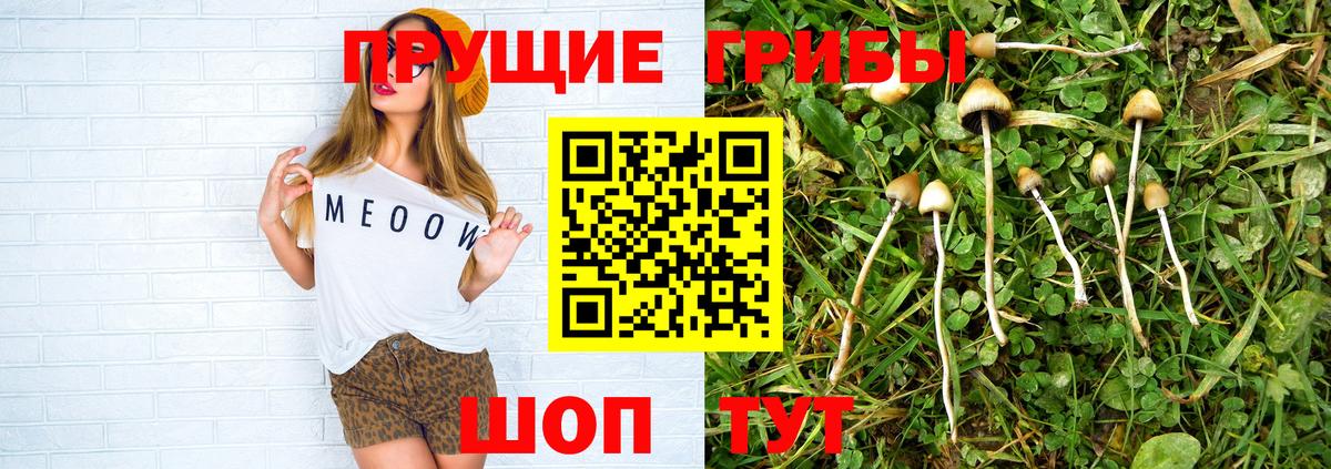 Галлюциногенные грибы GOLDEN TEACHER Костомукша
